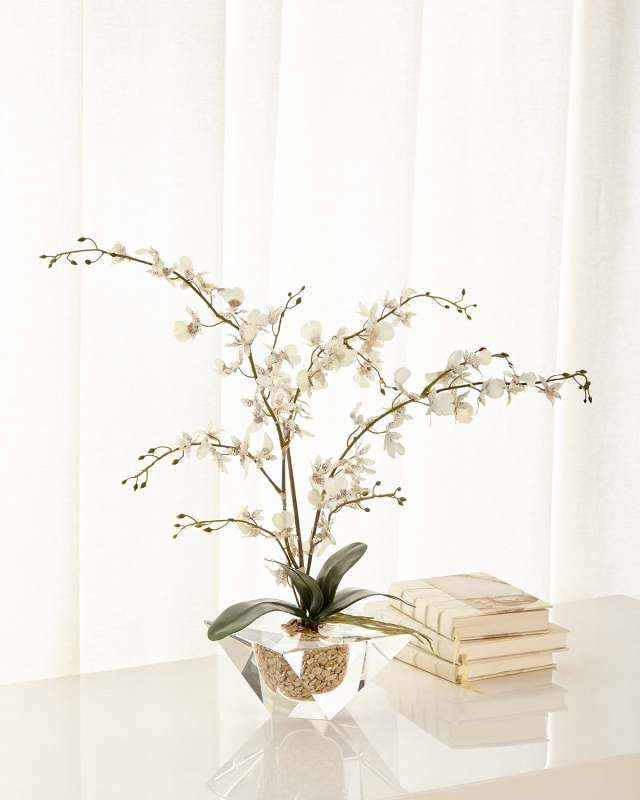 Marquis Orchid Arrangement